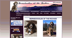 Desktop Screenshot of bernedoodlesoftherockies.com